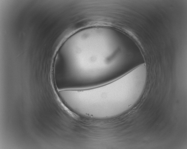 X0000060551379200511030840