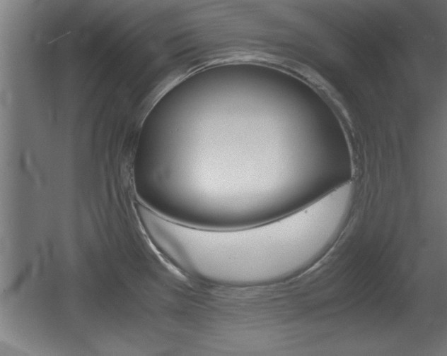X0000060551385200511030840