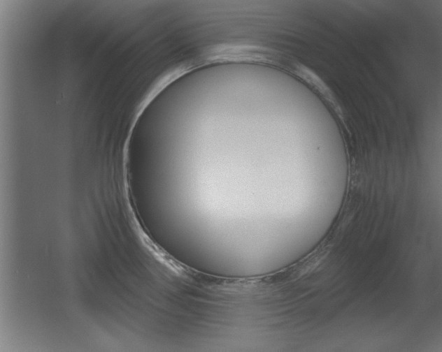 X0000060551386200511030840