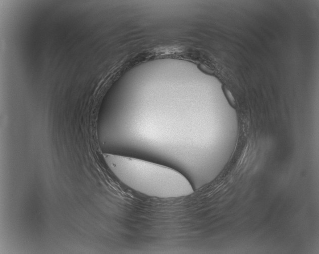 X0000060551393200511030839