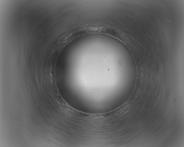 X0000060551394200511030839
