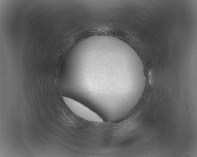 X0000060551395200511030839