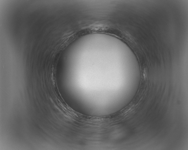 X0000060551396200511030839