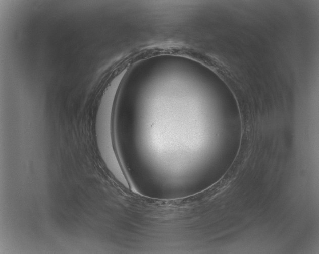 X0000060551398200511030839