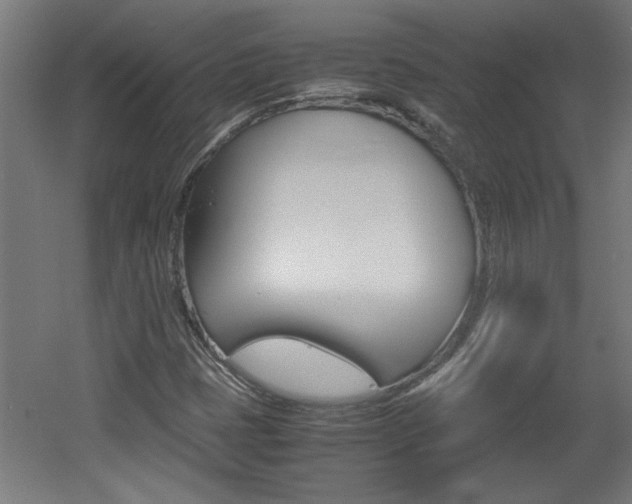 X0000060551401200511030839