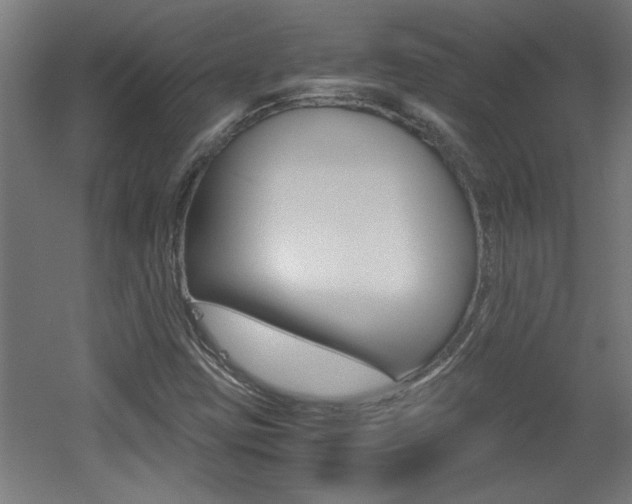 X0000060551403200511030840