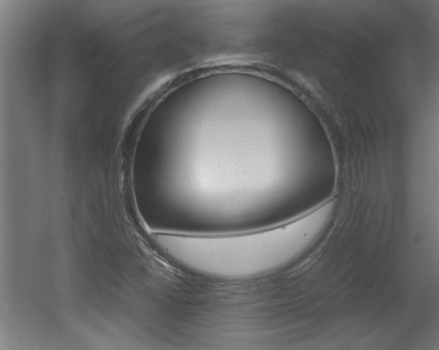 X0000060551406200511030840