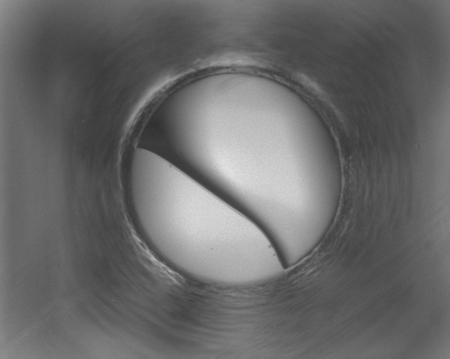 X0000060551408200511030840
