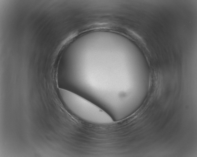 X0000060551411200511030840