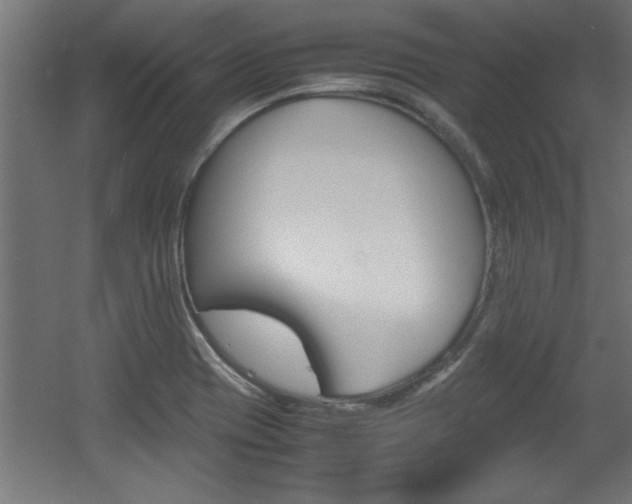 X0000060551417200511030840