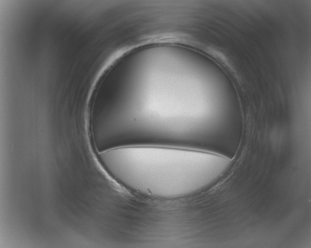 X0000060551424200511030840
