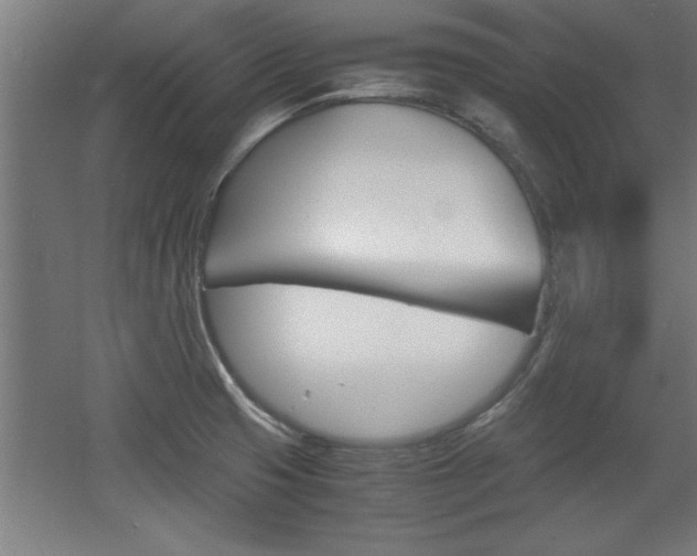 X0000060551425200511030840