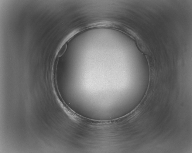 X0000060551426200511030840