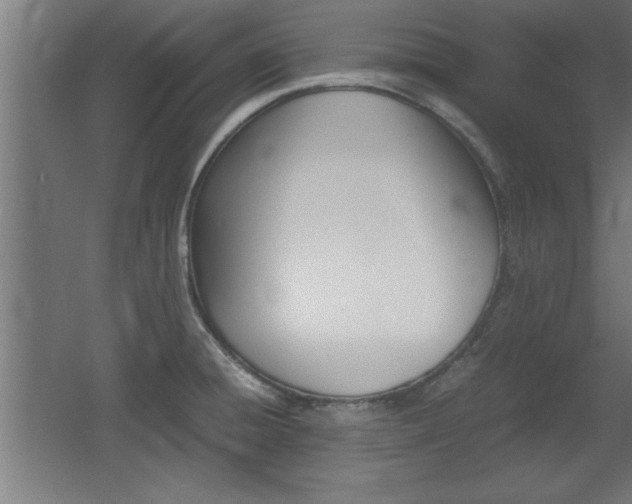 X0000060551428200511030840