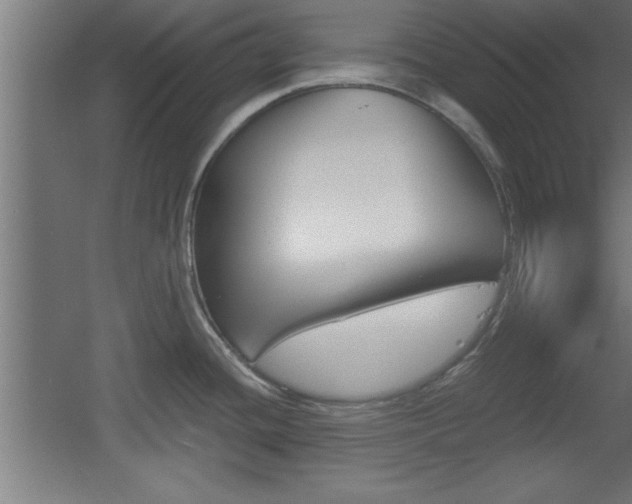 X0000060551436200511030840