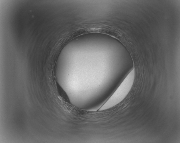 X0000060551441200511030839