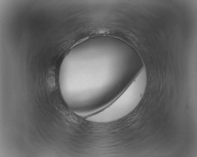 X0000060551442200511030839