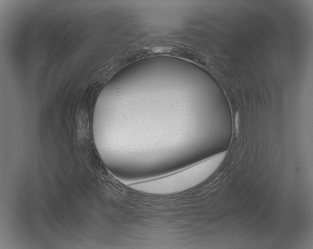X0000060551443200511030839