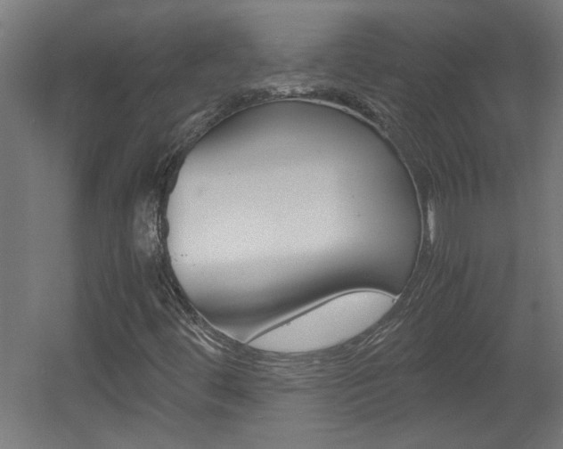 X0000060551444200511030839