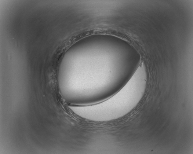 X0000060551445200511030839