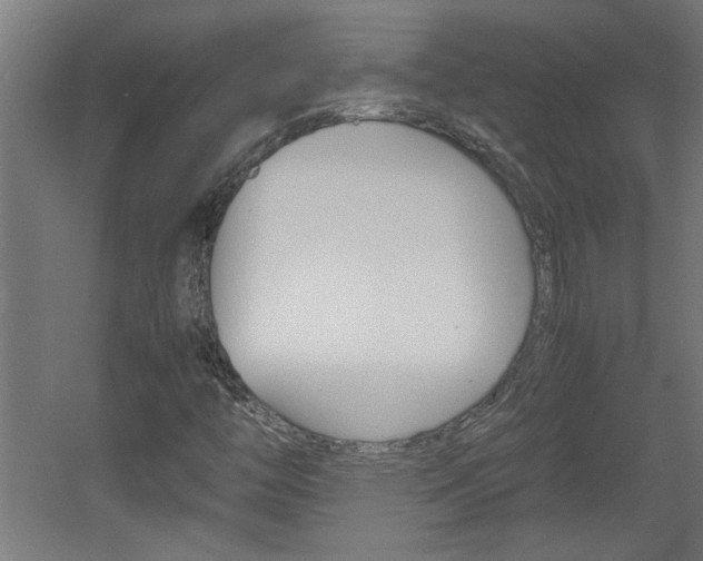 X0000060551446200511030839