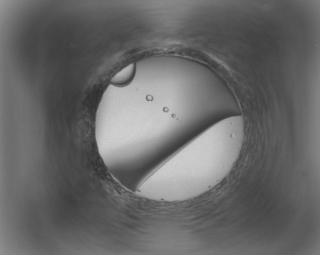 X0000060551447200511030839