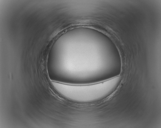 X0000060551449200511030839