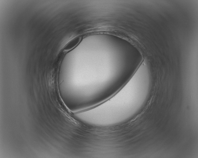 X0000060551450200511030839