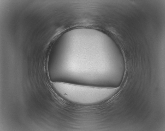 X0000060551451200511030839