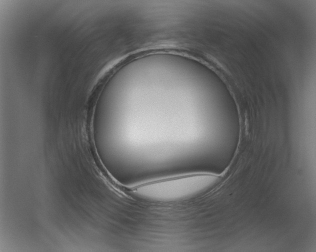 X0000060551452200511030839
