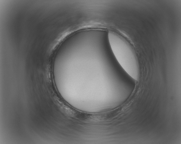 X0000060551455200511030839