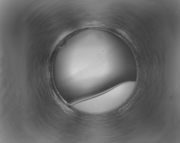 X0000060551458200511030839