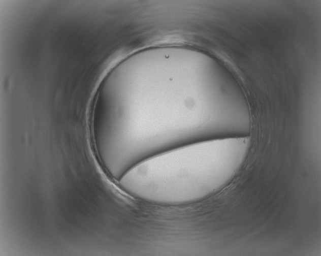 X0000060551475200511030839