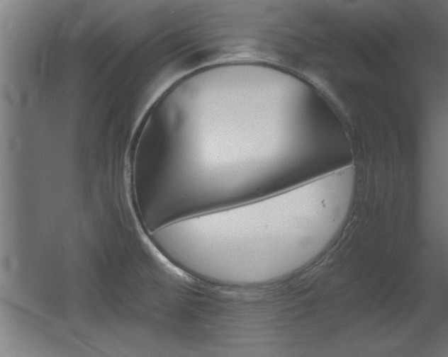 X0000060551476200511030839