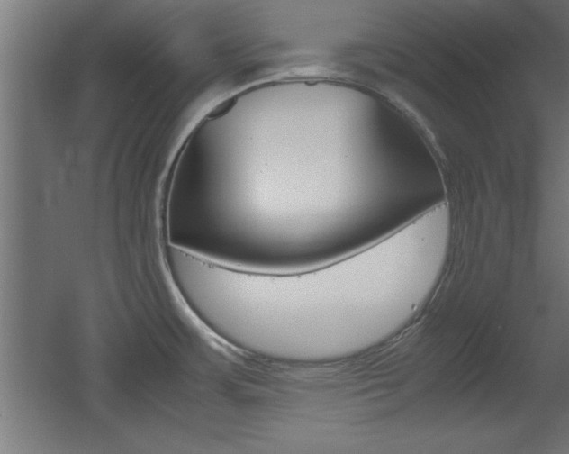 X0000060551483200511030839