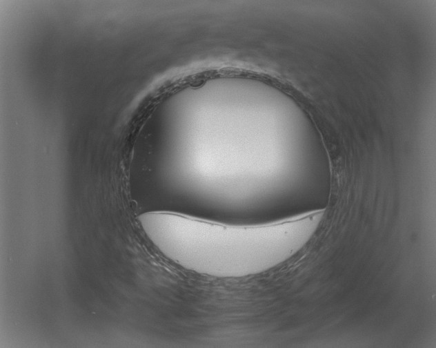 X0000060551495200511030838