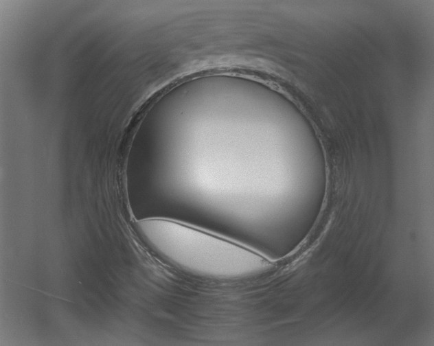 X0000060551497200511030838