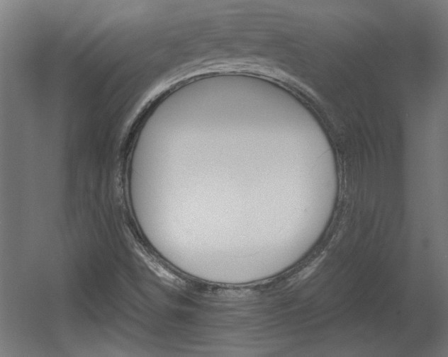 X0000060551498200511030838
