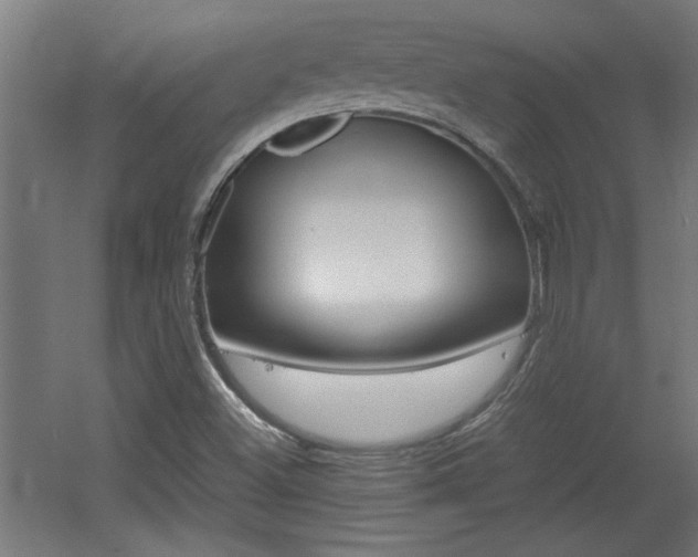 X0000060551500200511030838