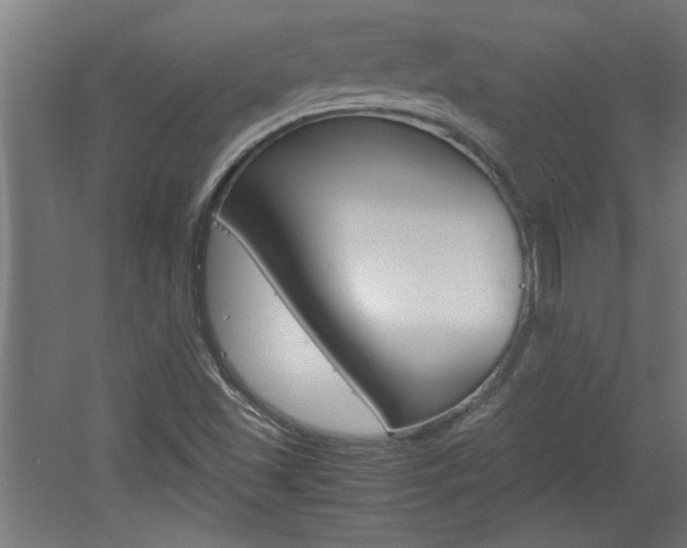 X0000060551501200511030838