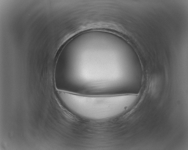 X0000060551505200511030838