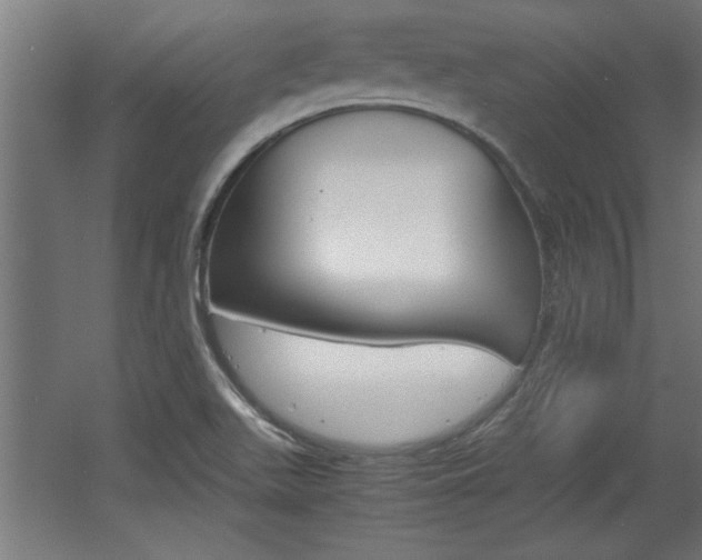 X0000060551511200511030838