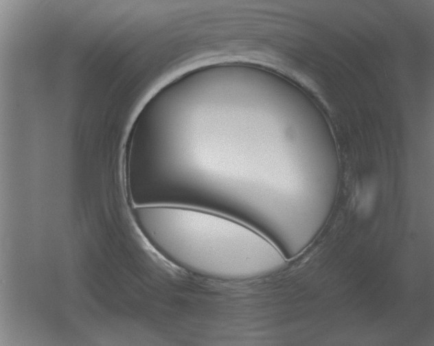 X0000060551516200511030838