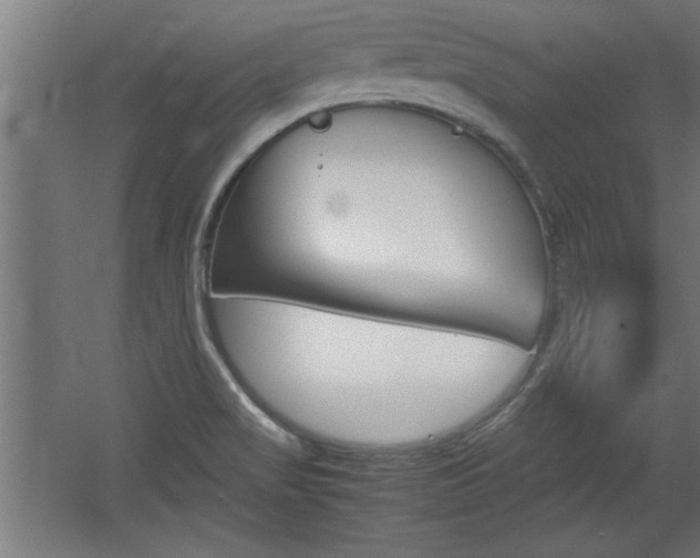 X0000060551517200511030838