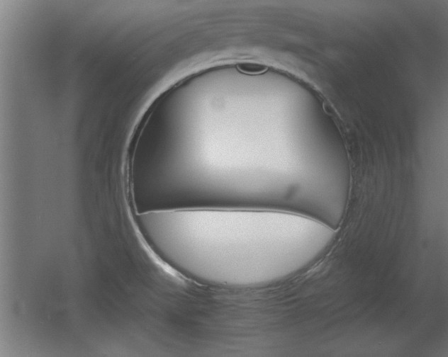 X0000060551519200511030838