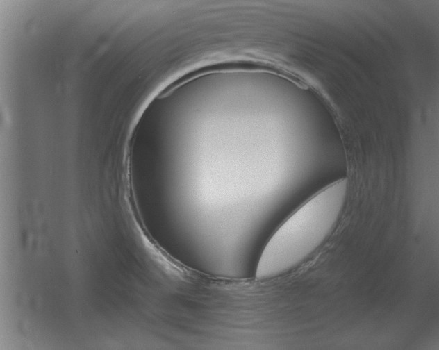 X0000060551524200511030838