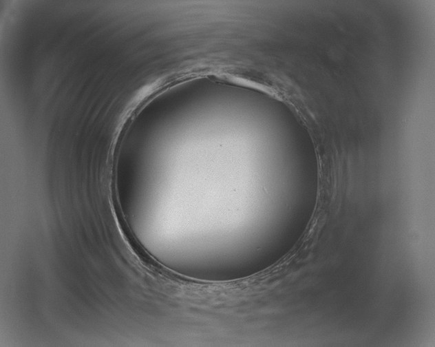 X0000060550003200511031229
