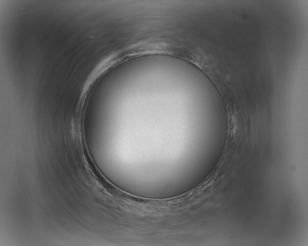X0000060550004200511031229