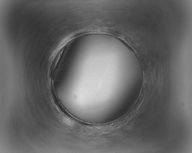 X0000060550005200511031229