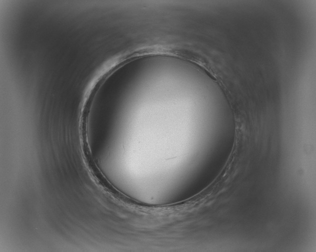 X0000060550006200511031229
